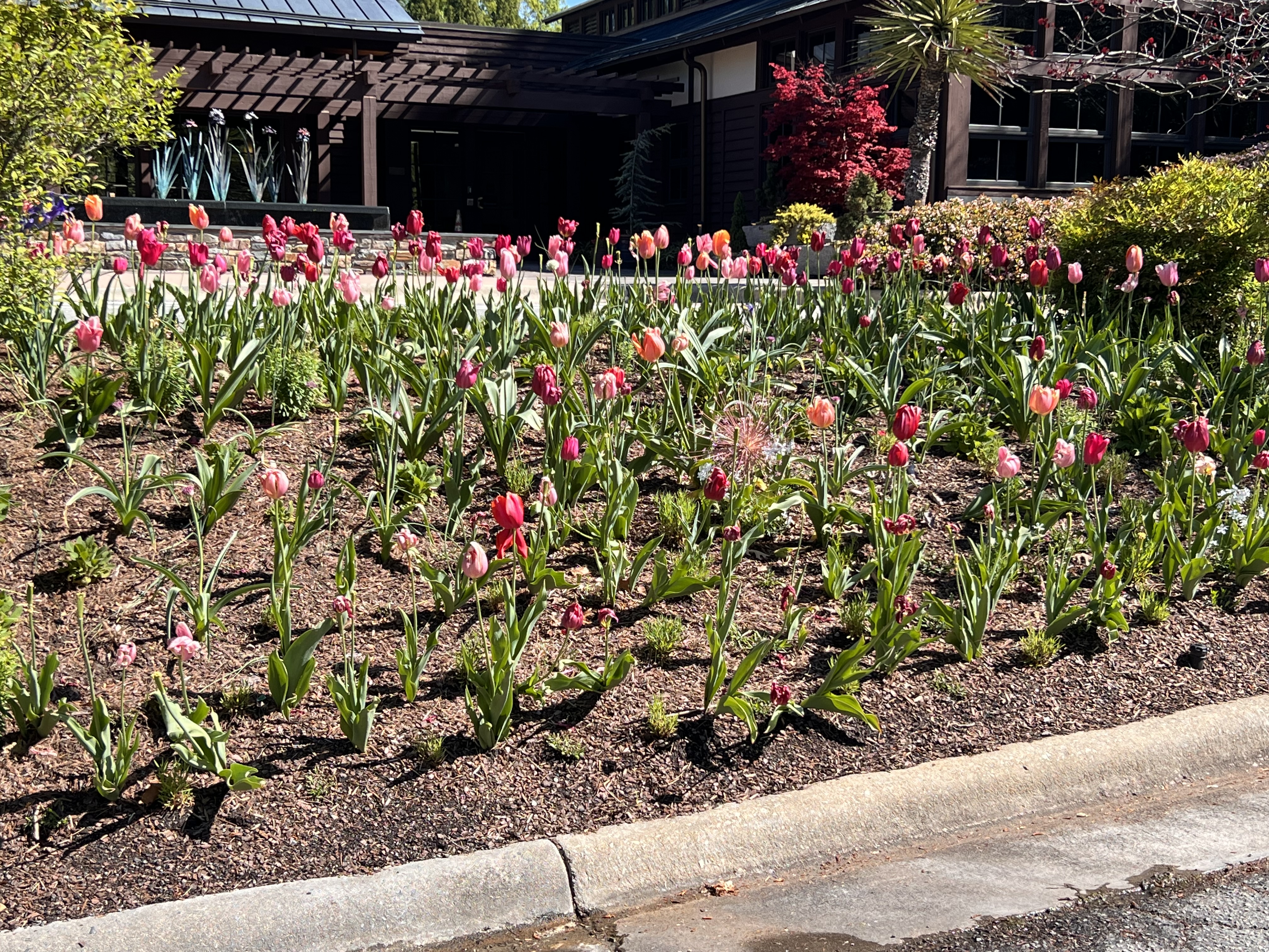 ./2023/05 - Toni Adventures/IMG_3077.JPG